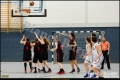 2RLO - JUSTABS Halle vs 1. Damen Weddinger Wiesel (Basketball) 2RLO - JUSTABS Halle vs 1. Damen Weddinger Wiesel (Basketball)