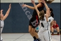 2RLO - JUSTABS Halle vs 1. Damen Weddinger Wiesel (Basketball) 2RLO - JUSTABS Halle vs 1. Damen Weddinger Wiesel (Basketball)