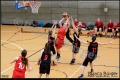 2. RLO - 1. Damen Weddinger Wiesel vs TSV Spandau 1860 (Basketball) 2. RLO - 1. Damen Weddinger Wiesel vs TSV Spandau 1860 (Basketball)
