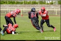 2. BL Spandau Bulldogs vs Lady Lions Braunschweig (American Football) 2. BL Spandau Bulldogs vs Lady Lions Braunschweig (American Football)