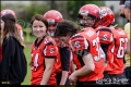 2. BL Spandau Bulldogs vs Lady Lions Braunschweig (American Football) 2. BL Spandau Bulldogs vs Lady Lions Braunschweig (American Football)
