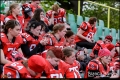 2. BL Spandau Bulldogs vs Lady Lions Braunschweig (American Football) 2. BL Spandau Bulldogs vs Lady Lions Braunschweig (American Football)
