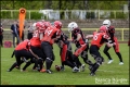 2. BL Spandau Bulldogs vs Lady Lions Braunschweig (American Football) 2. BL Spandau Bulldogs vs Lady Lions Braunschweig (American Football)