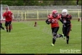 2. BL Spandau Bulldogs vs Lady Lions Braunschweig (American Football) 2. BL Spandau Bulldogs vs Lady Lions Braunschweig (American Football)