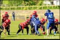 2. BL Spandau Bulldogs vs Hamburg Blue Devilyns (American Football)