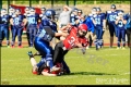 2. BL Spandau Bulldogs vs Hamburg Blue Devilyns (American Football)