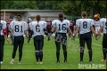 2.BL Lady Lions Braunschweig vs Spandau Bulldogs (American Football) 2.BL Lady Lions Braunschweig vs Spandau Bulldogs (American Football)