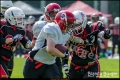 2.BL Lady Lions Braunschweig vs Spandau Bulldogs (American Football) 2.BL Lady Lions Braunschweig vs Spandau Bulldogs (American Football)