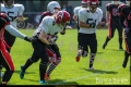 2.BL Lady Lions Braunschweig vs Spandau Bulldogs (American Football) 2.BL Lady Lions Braunschweig vs Spandau Bulldogs (American Football)