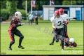 2.BL Lady Lions Braunschweig vs Spandau Bulldogs (American Football) 2.BL Lady Lions Braunschweig vs Spandau Bulldogs (American Football)