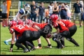 2. BL Spandau Bulldogs vs Hannover Grizzlies (American Football)