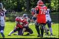 2.BL Damen Hannover Grizzlies vs Spandau Bulldogs (American Football)