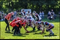2.BL Damen Hannover Grizzlies vs Spandau Bulldogs (American Football)