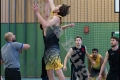 Herren OL - Weddinger Wiesel 1 vs Berlin Tiger 1 (Basketball) Herren OL - Weddinger Wiesel 1 vs Berlin Tiger 1 (Basketball)