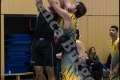 Herren OL - Weddinger Wiesel 1 vs Berlin Tiger 1 (Basketball) Herren OL - Weddinger Wiesel 1 vs Berlin Tiger 1 (Basketball)
