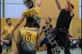Herren OL - Weddinger Wiesel 1 vs Berlin Tiger 1 (Basketball) Herren OL - Weddinger Wiesel 1 vs Berlin Tiger 1 (Basketball)