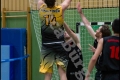 Herren OL - Weddinger Wiesel 1 vs Berlin Tiger 1 (Basketball) Herren OL - Weddinger Wiesel 1 vs Berlin Tiger 1 (Basketball)