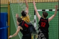 Herren OL - Weddinger Wiesel 1 vs Berlin Tiger 1 (Basketball) Herren OL - Weddinger Wiesel 1 vs Berlin Tiger 1 (Basketball)