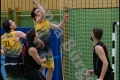 Herren OL - Weddinger Wiesel 1 vs Berlin Tiger 1 (Basketball) Herren OL - Weddinger Wiesel 1 vs Berlin Tiger 1 (Basketball)