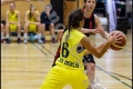 Testspiel Damen1 - ALBA Berlin vs Weddinger Wiesel (Basketball 2016-2017) Testspiel Damen1 - ALBA Berlin vs Weddinger Wiesel (Basketball 2016-2017)