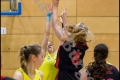Testspiel Damen1 - ALBA Berlin vs Weddinger Wiesel (Basketball 2016-2017) Testspiel Damen1 - ALBA Berlin vs Weddinger Wiesel (Basketball 2016-2017)