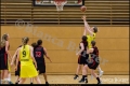 Testspiel Damen1 - ALBA Berlin vs Weddinger Wiesel (Basketball 2016-2017) Testspiel Damen1 - ALBA Berlin vs Weddinger Wiesel (Basketball 2016-2017)