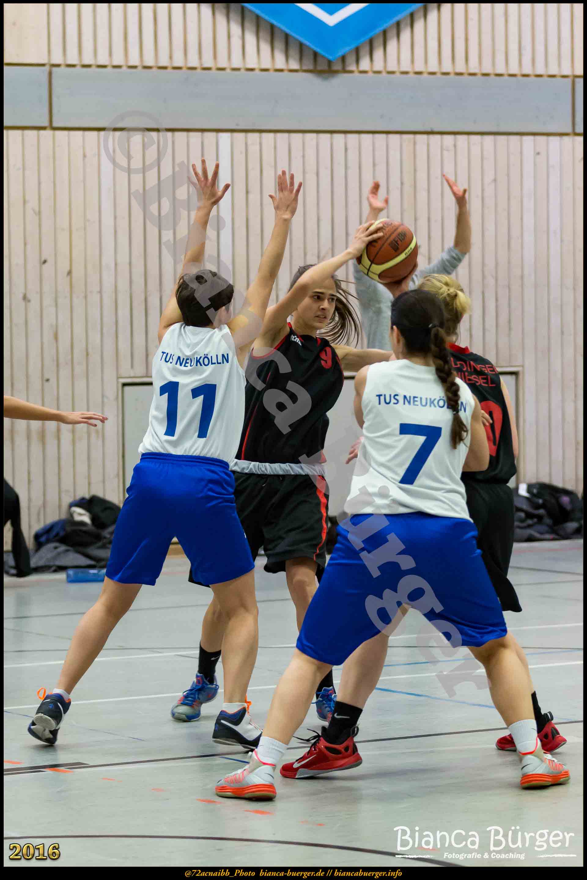 2.RLO TuS Neukölln vs 1. Damen Weddinger Wiesel (Basketball)