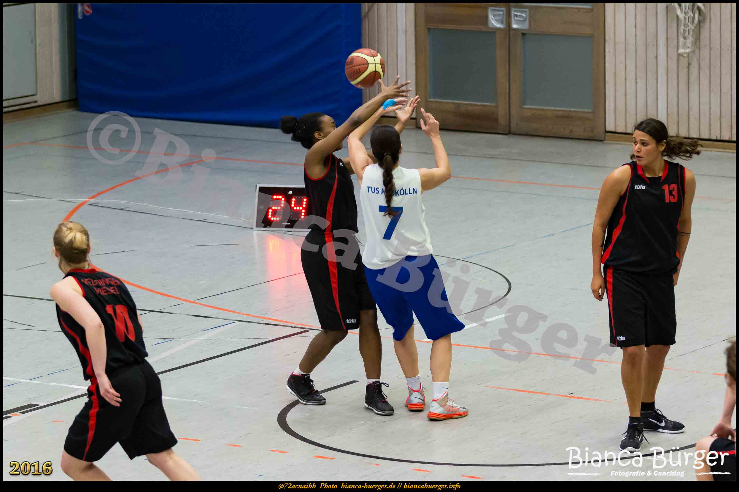 2.RLO TuS Neukölln vs 1. Damen Weddinger Wiesel (Basketball)