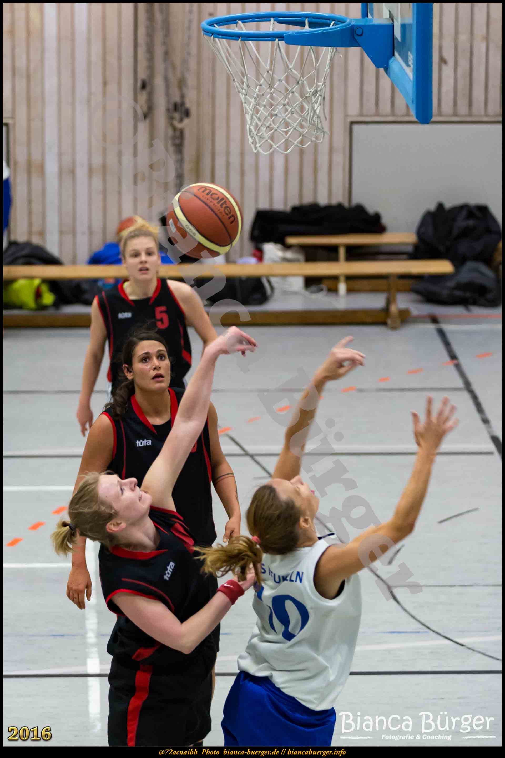 2.RLO TuS Neukölln vs 1. Damen Weddinger Wiesel (Basketball)