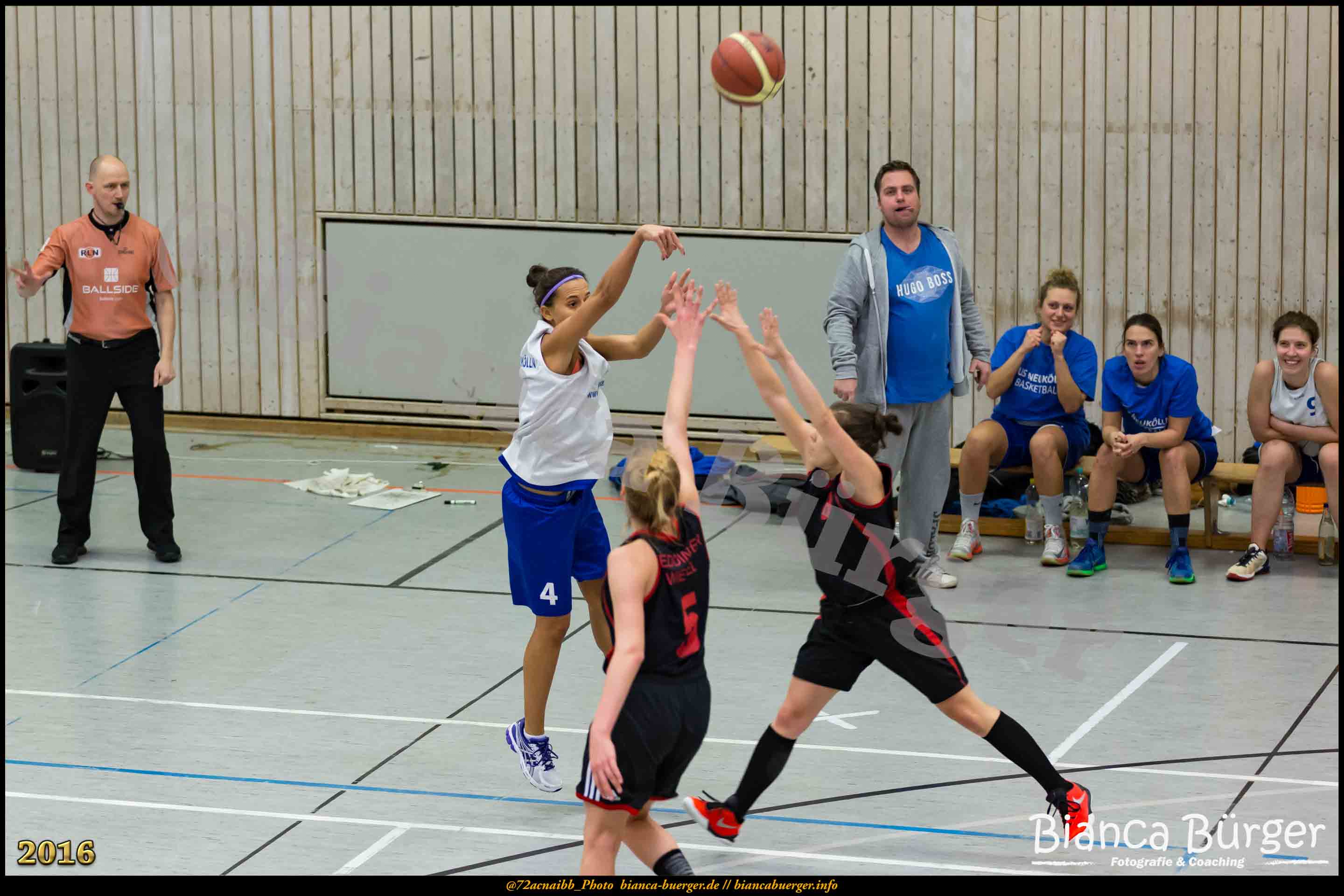 2.RLO TuS Neukölln vs 1. Damen Weddinger Wiesel (Basketball)