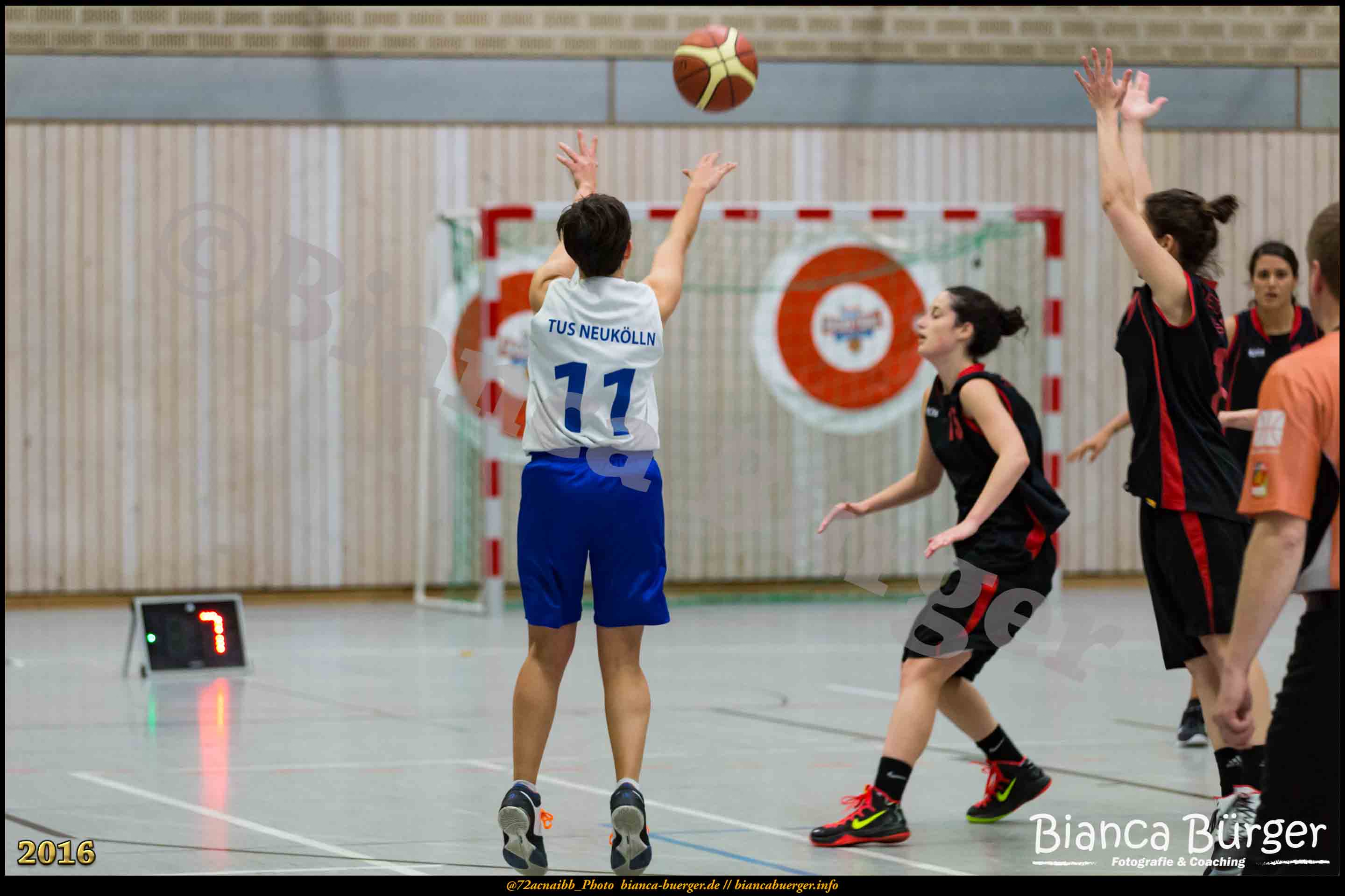 2.RLO TuS Neukölln vs 1. Damen Weddinger Wiesel (Basketball)