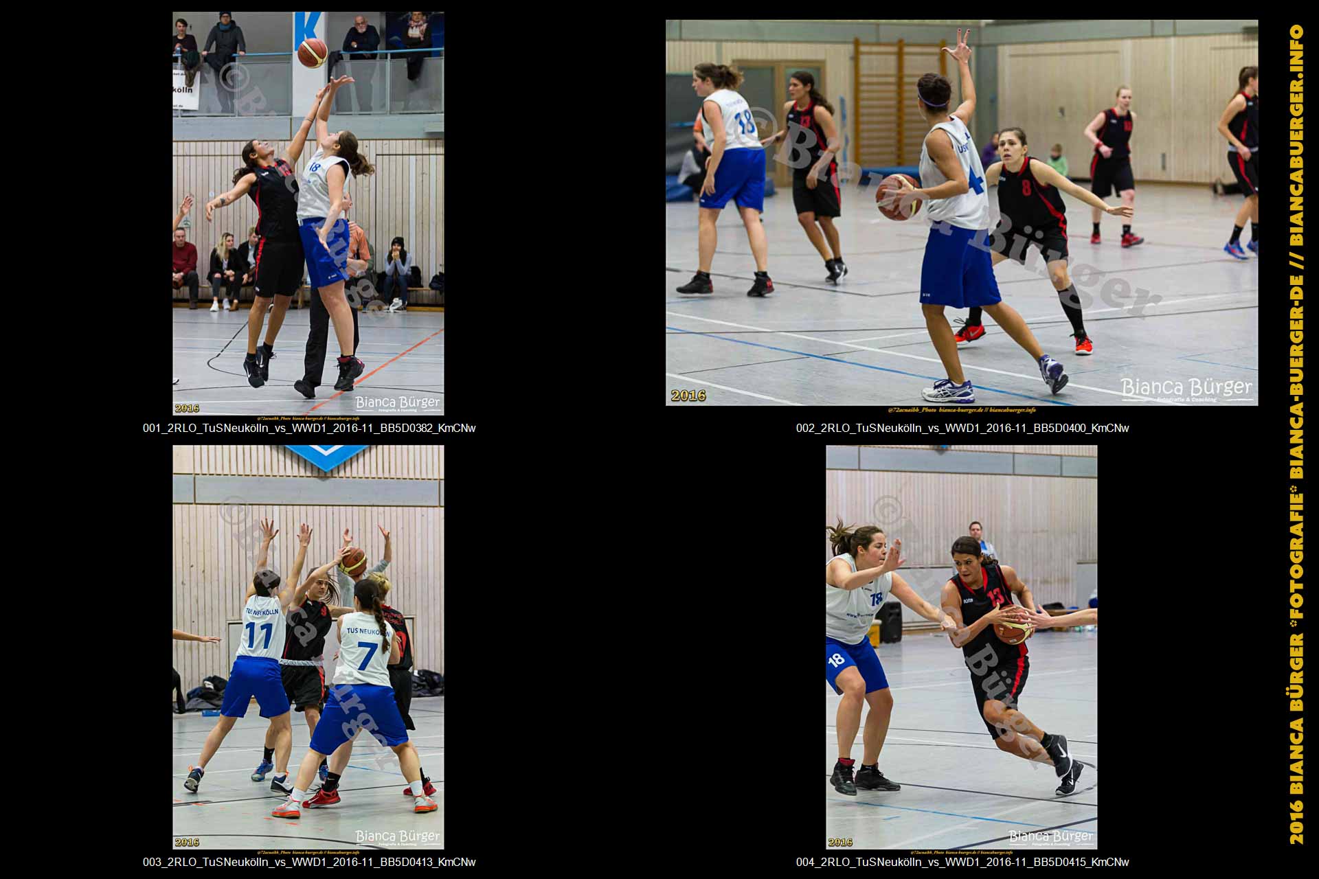 2.RLO TuS Neukölln vs 1. Damen Weddinger Wiesel (Basketball)