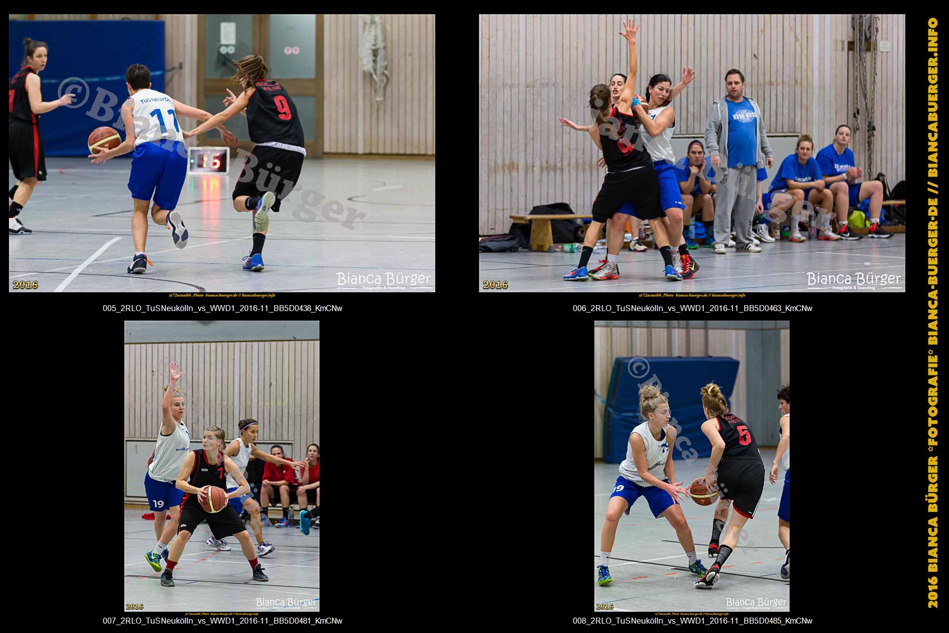 2.RLO TuS Neukölln vs 1. Damen Weddinger Wiesel (Basketball)