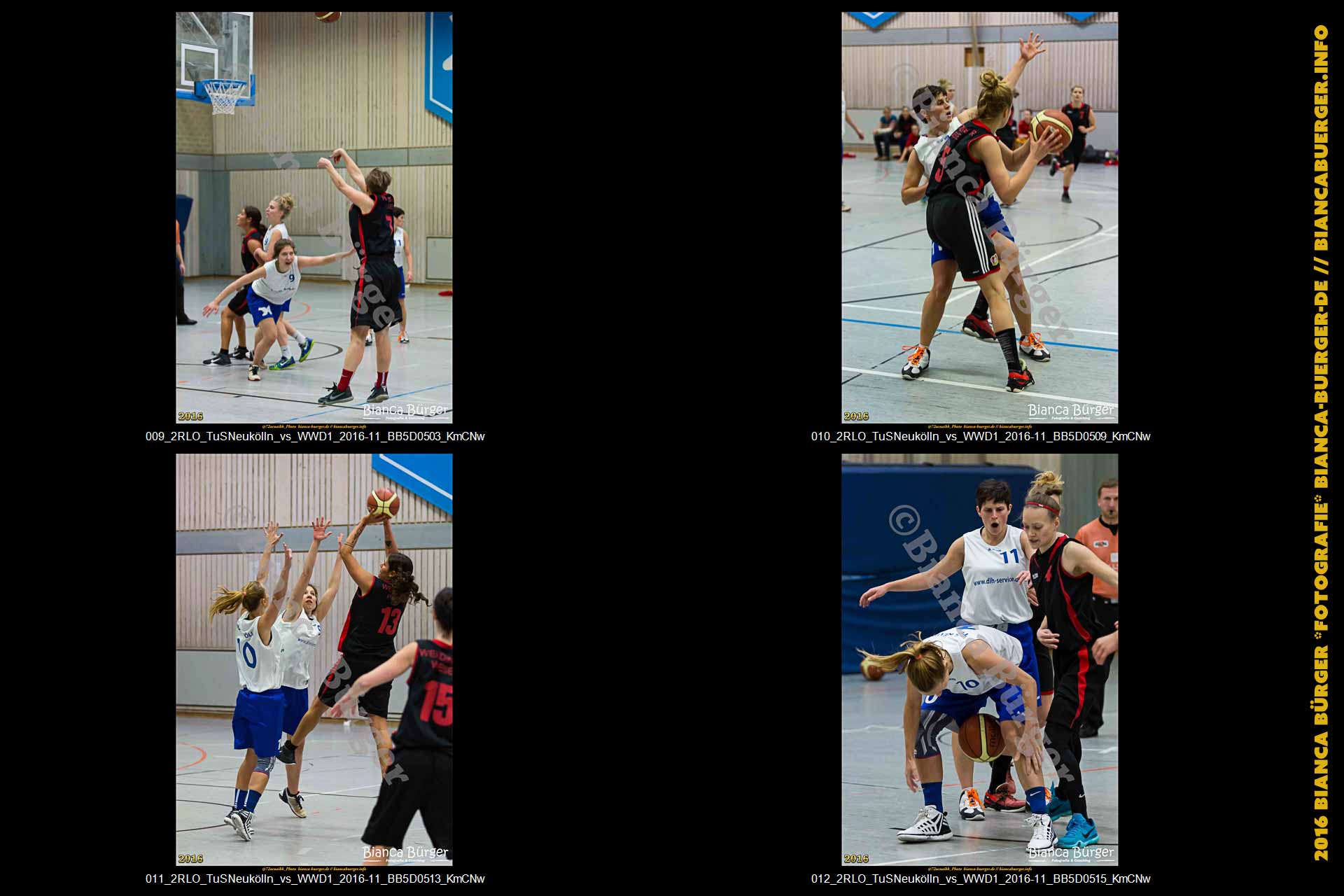 2.RLO TuS Neukölln vs 1. Damen Weddinger Wiesel (Basketball)