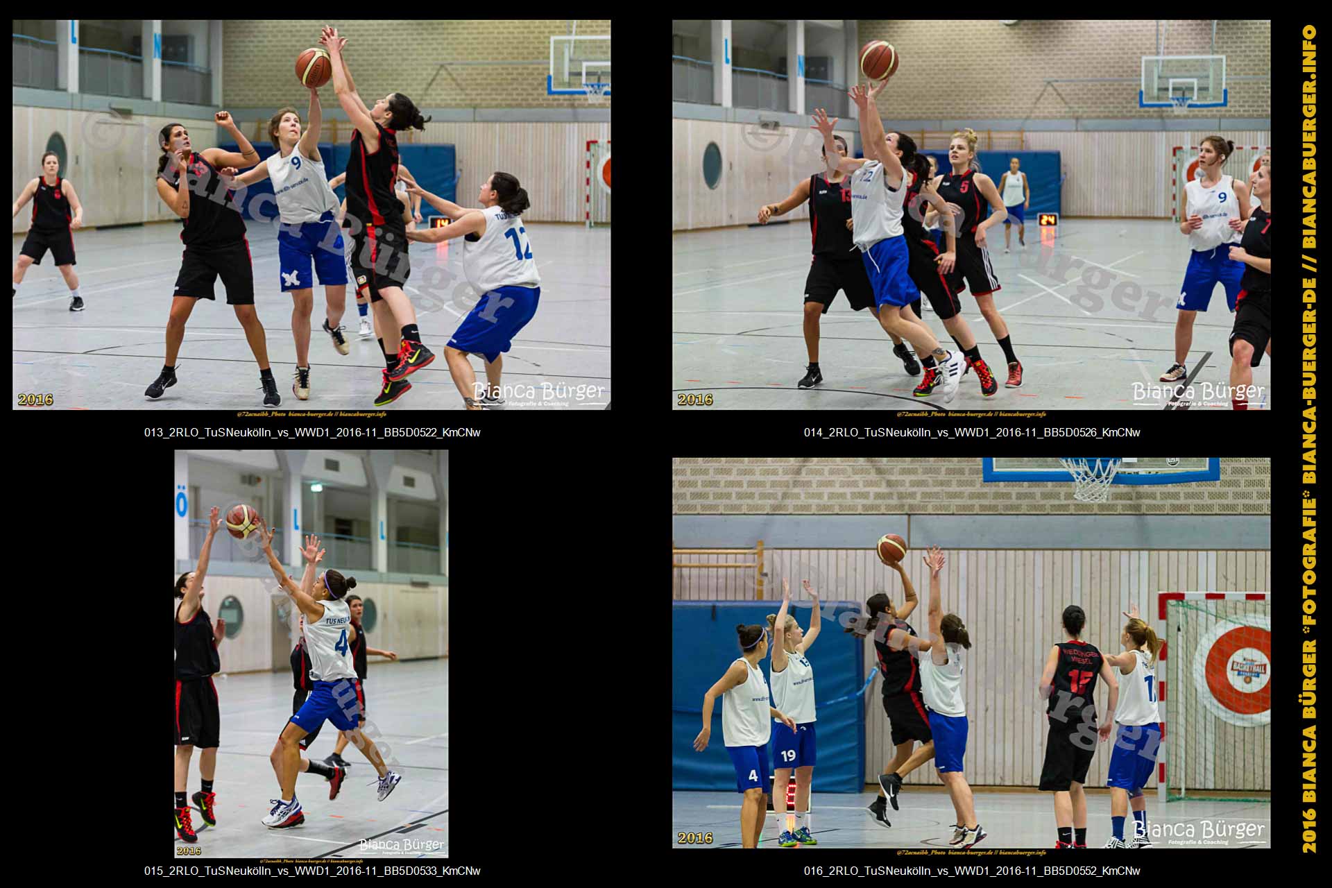 2.RLO TuS Neukölln vs 1. Damen Weddinger Wiesel (Basketball)