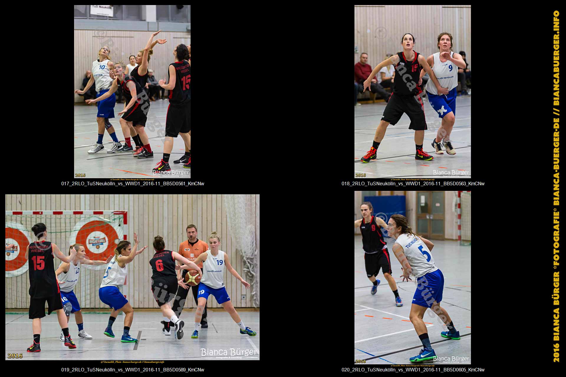 2.RLO TuS Neukölln vs 1. Damen Weddinger Wiesel (Basketball)