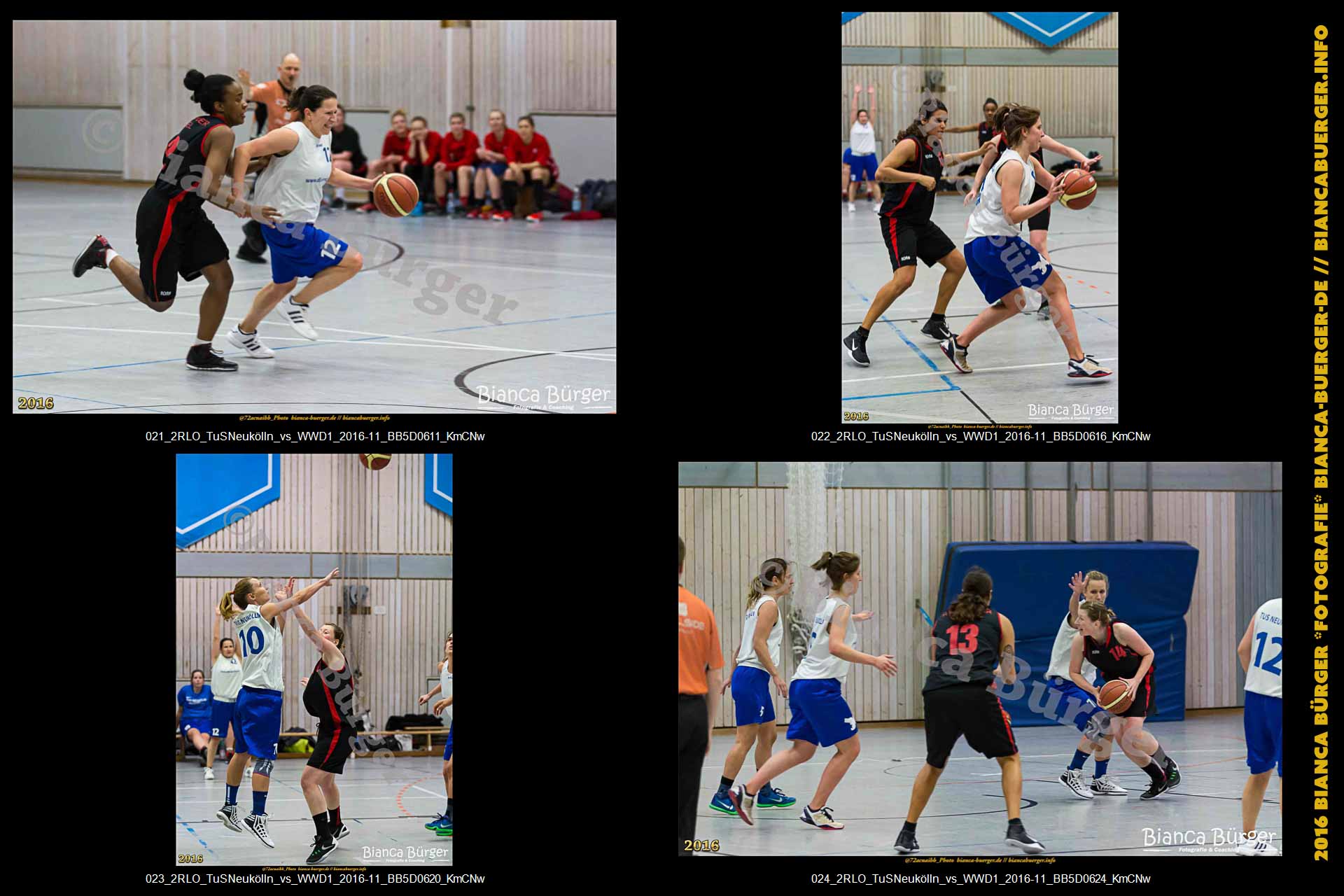 2.RLO TuS Neukölln vs 1. Damen Weddinger Wiesel (Basketball)