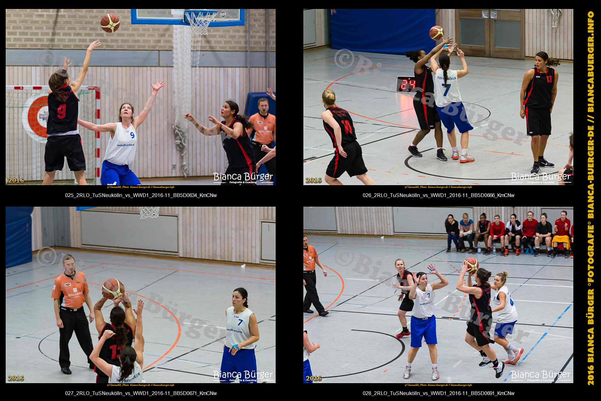 2.RLO TuS Neukölln vs 1. Damen Weddinger Wiesel (Basketball)