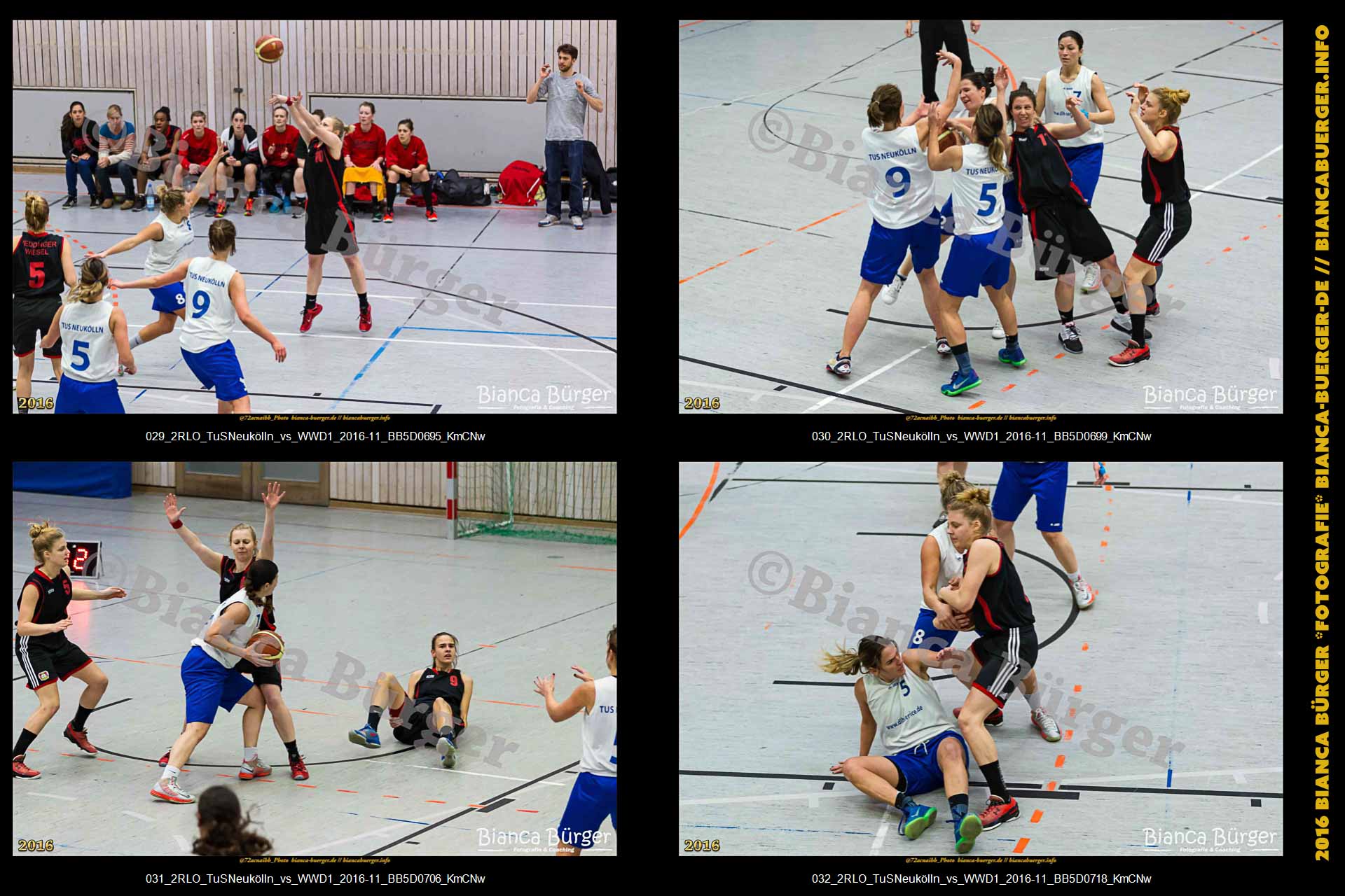 2.RLO TuS Neukölln vs 1. Damen Weddinger Wiesel (Basketball)