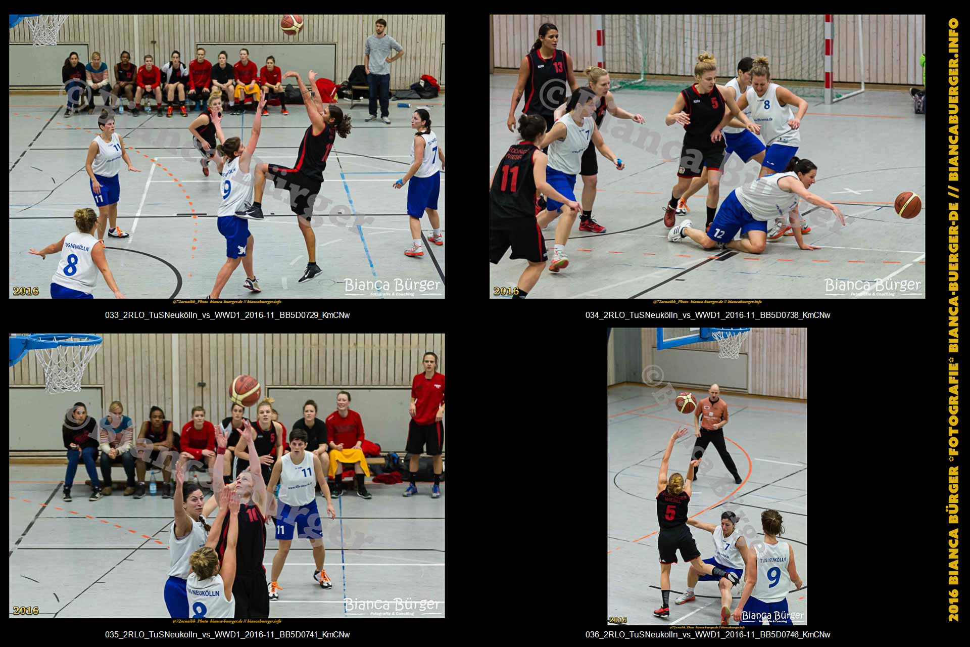 2.RLO TuS Neukölln vs 1. Damen Weddinger Wiesel (Basketball)