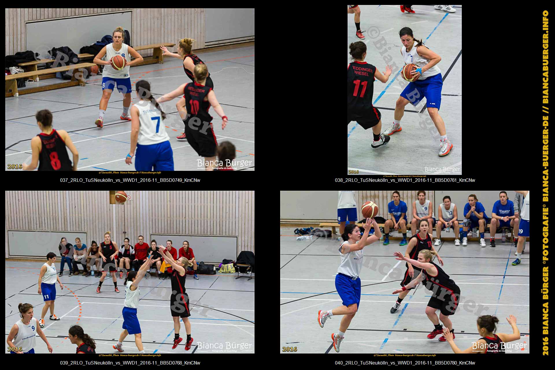 2.RLO TuS Neukölln vs 1. Damen Weddinger Wiesel (Basketball)