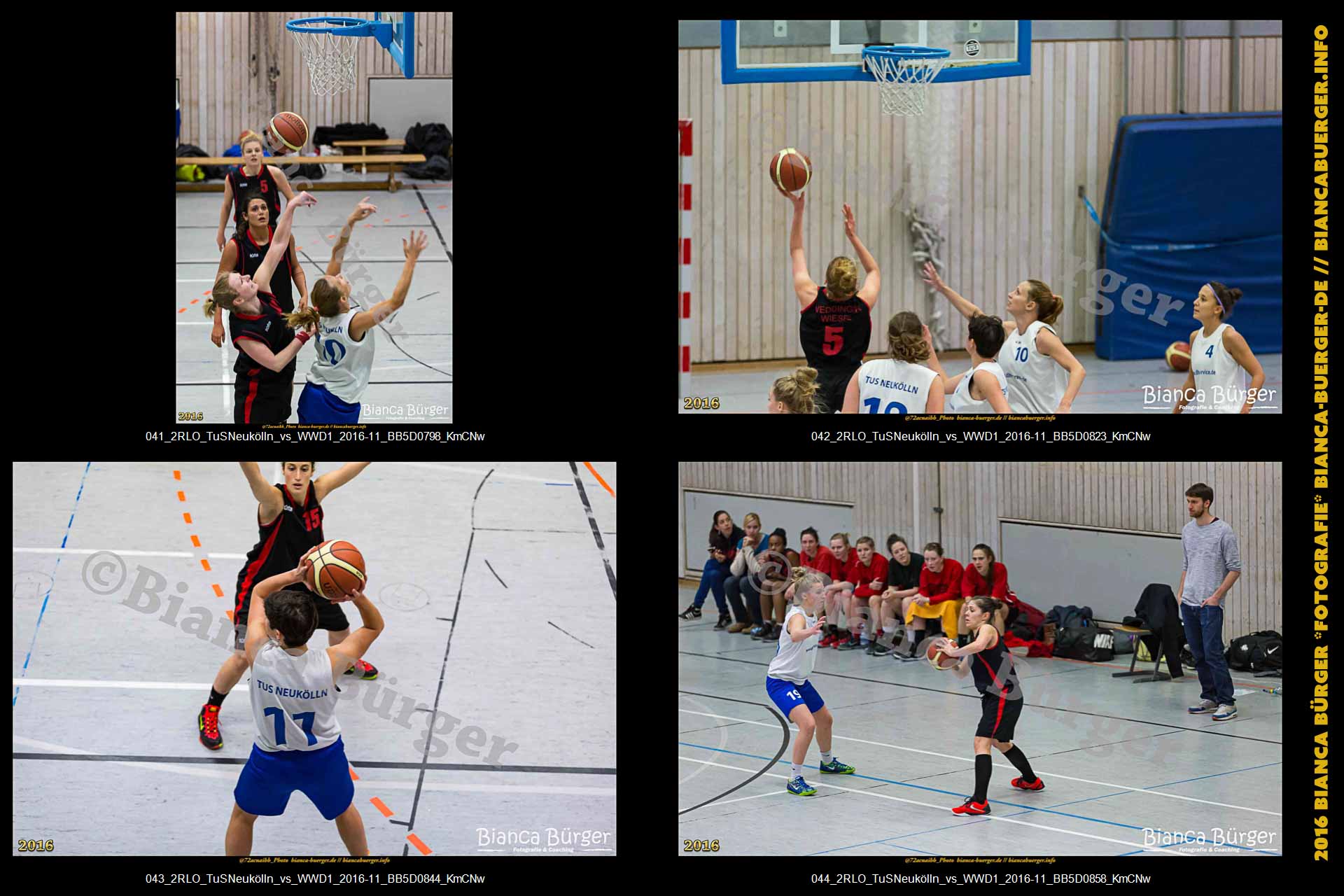 2.RLO TuS Neukölln vs 1. Damen Weddinger Wiesel (Basketball)