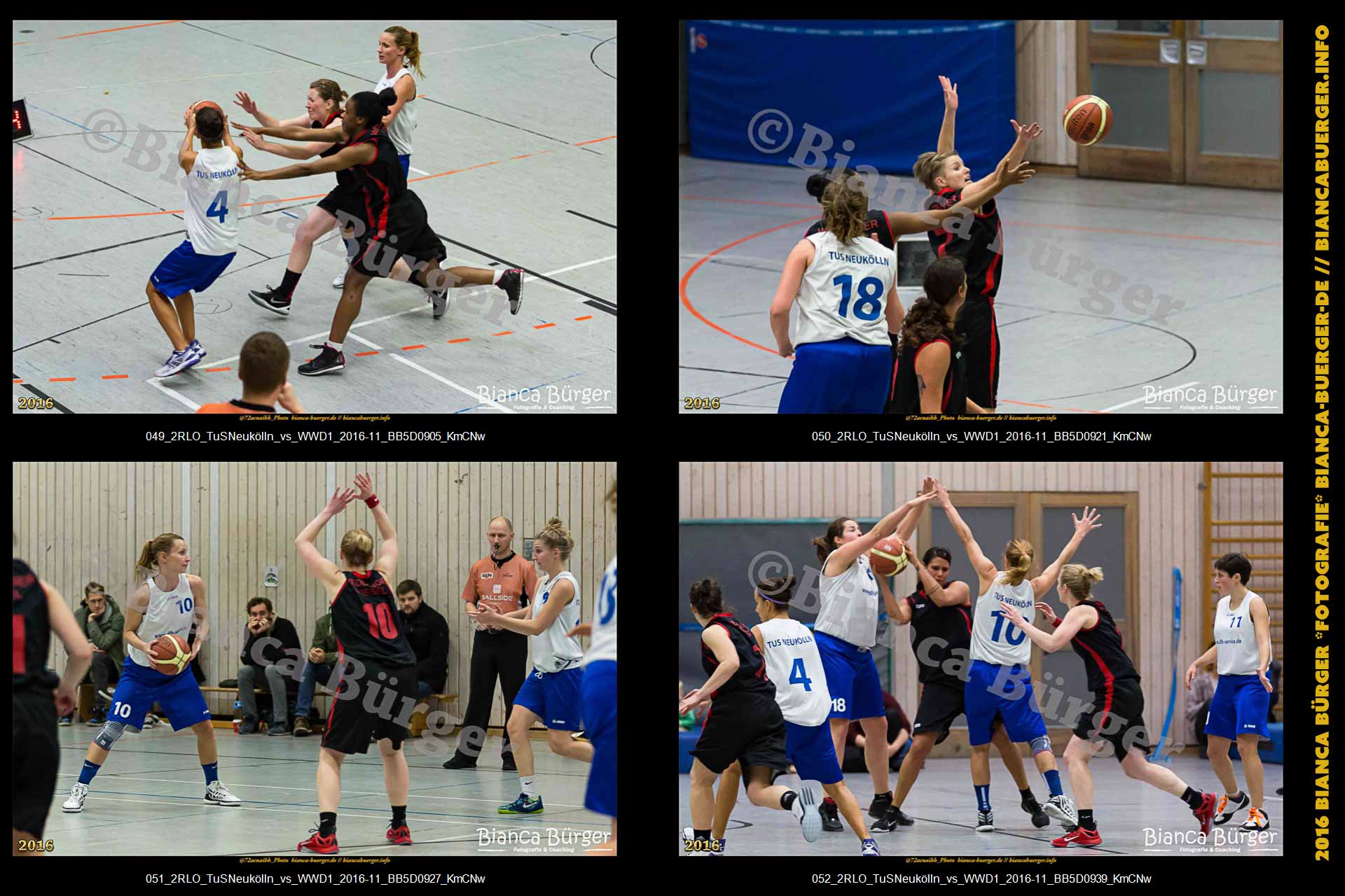 2.RLO TuS Neukölln vs 1. Damen Weddinger Wiesel (Basketball)