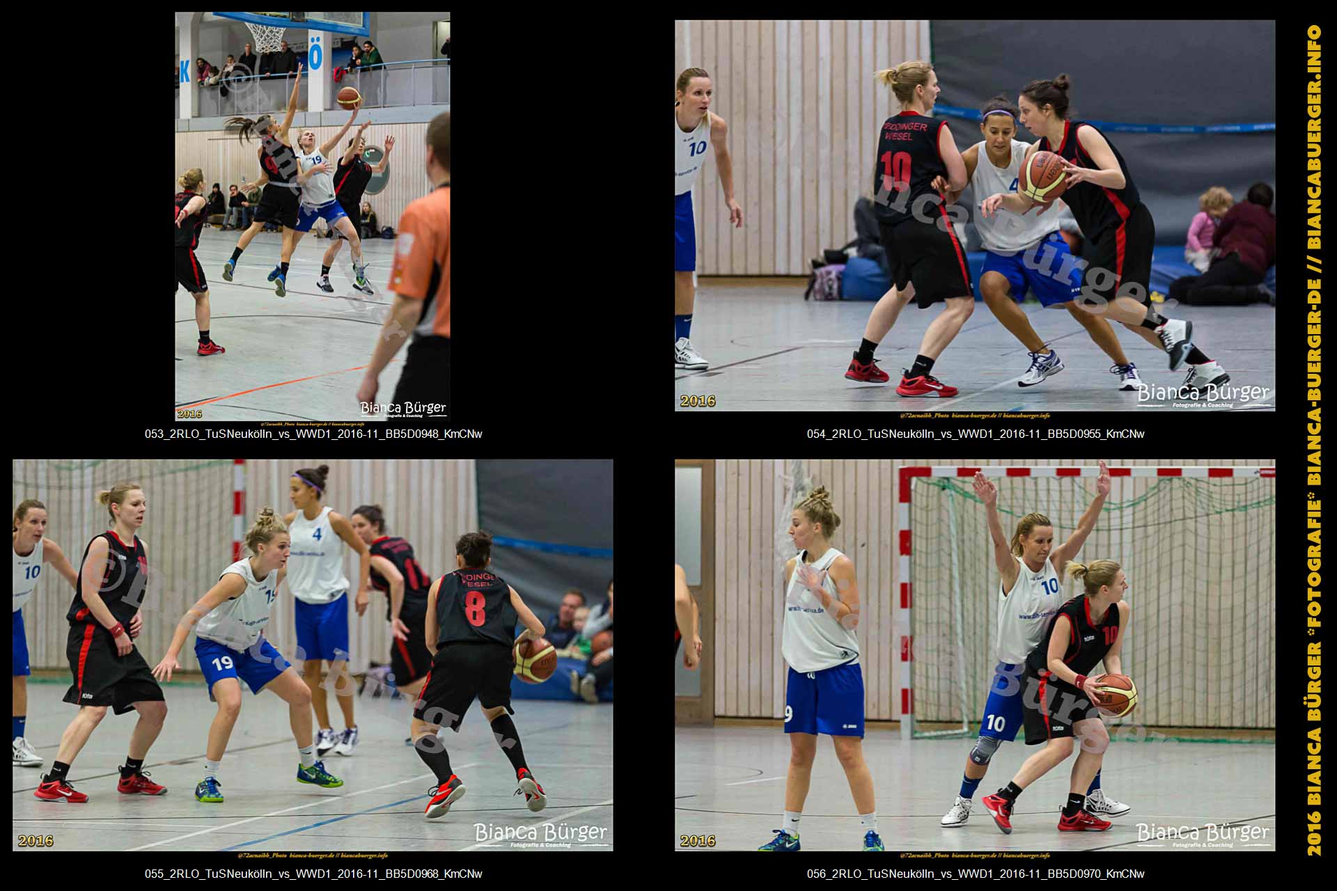 2.RLO TuS Neukölln vs 1. Damen Weddinger Wiesel (Basketball)
