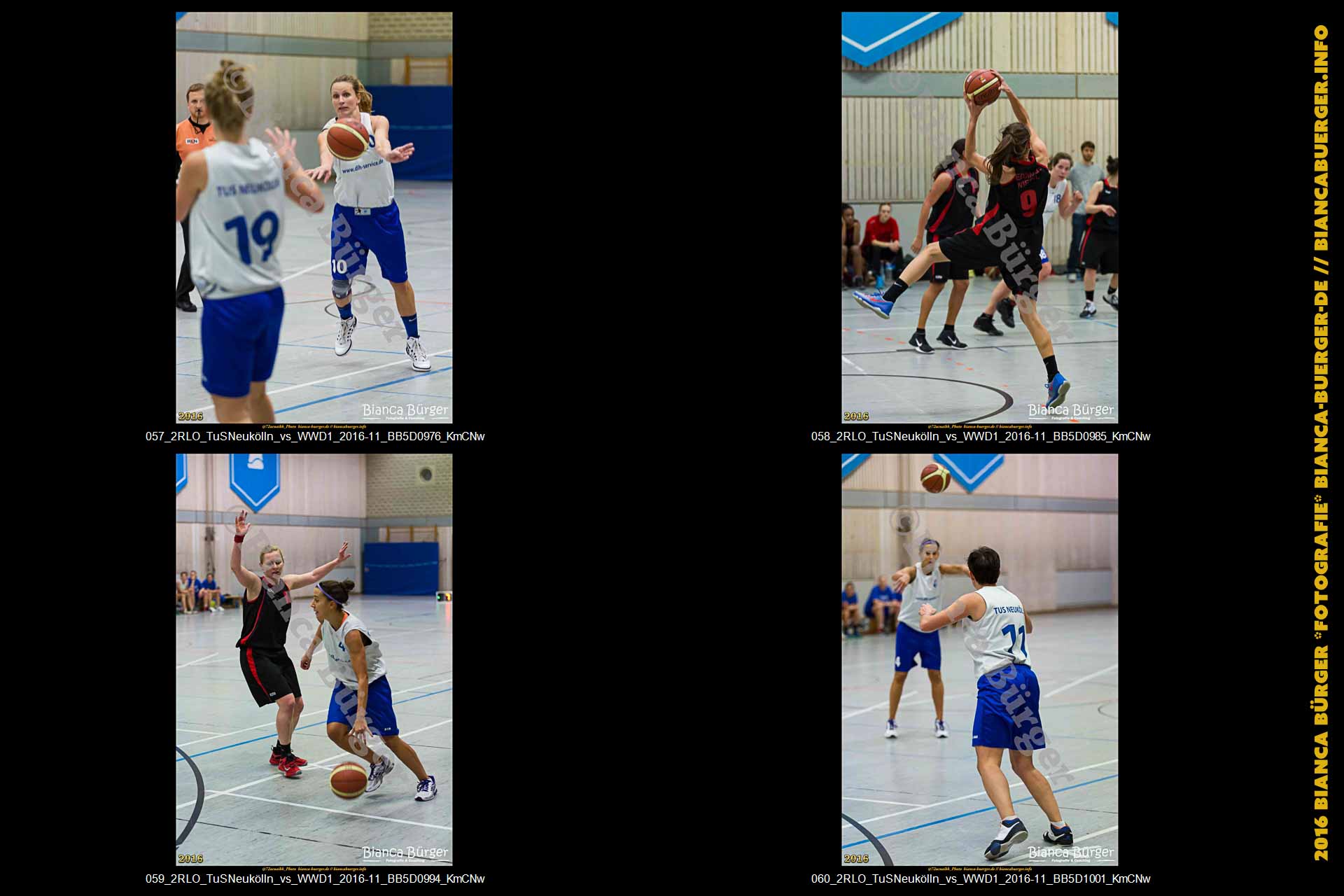 2.RLO TuS Neukölln vs 1. Damen Weddinger Wiesel (Basketball)