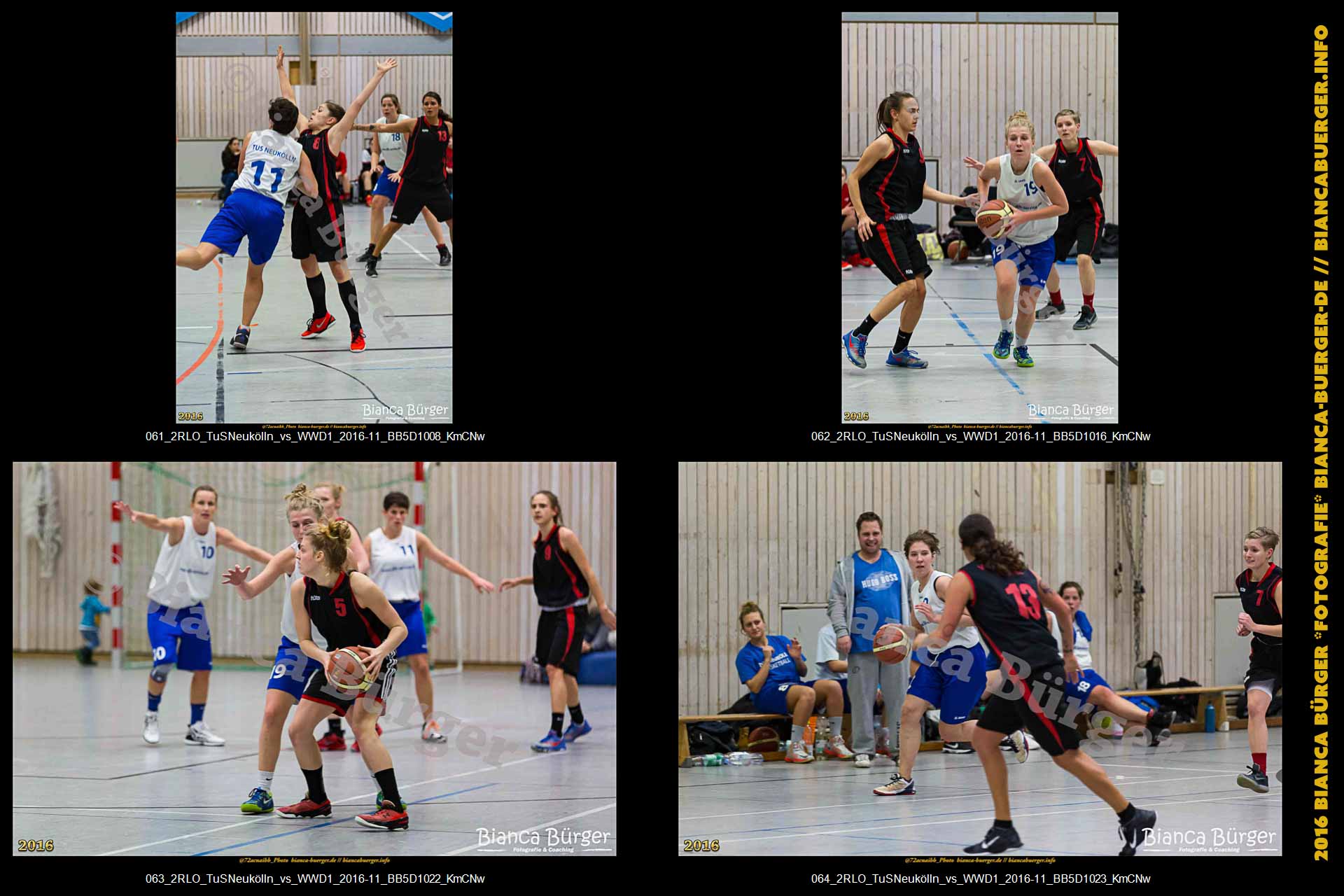 2.RLO TuS Neukölln vs 1. Damen Weddinger Wiesel (Basketball)