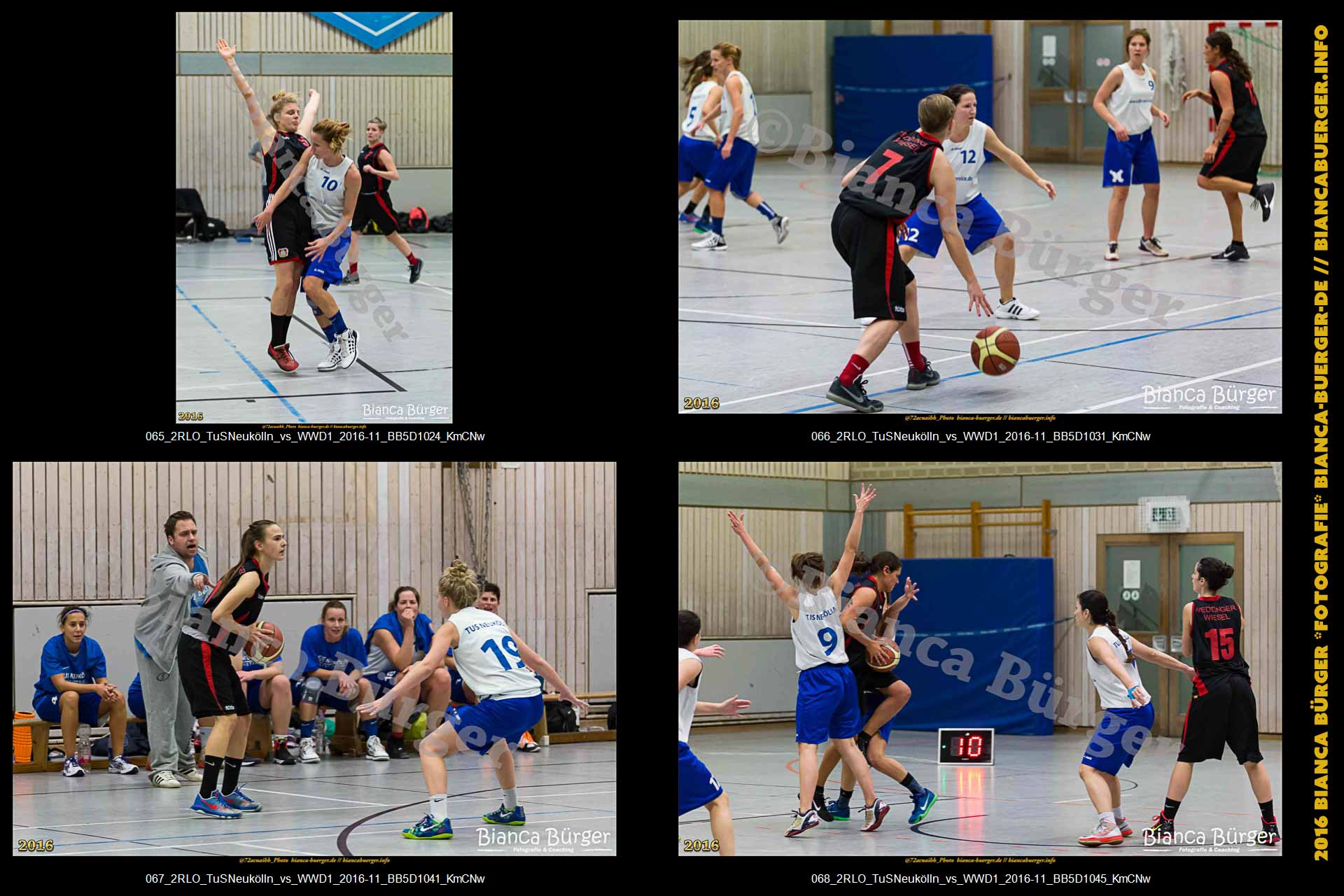2.RLO TuS Neukölln vs 1. Damen Weddinger Wiesel (Basketball)