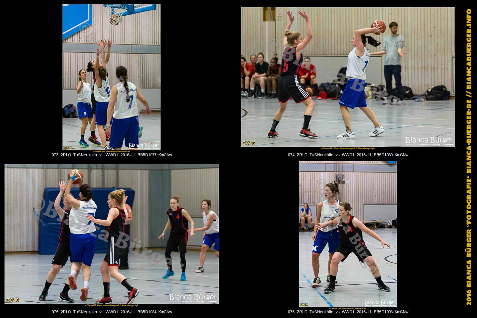 2.RLO TuS Neukölln vs 1. Damen Weddinger Wiesel (Basketball)