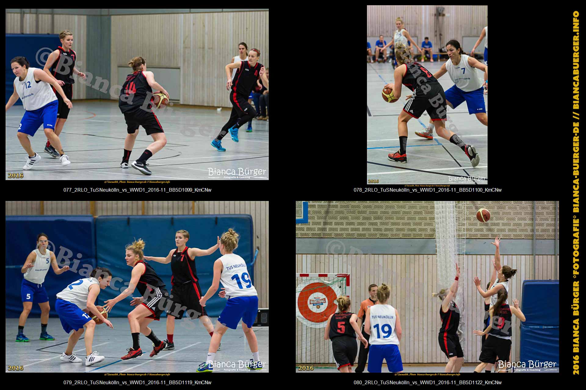 2.RLO TuS Neukölln vs 1. Damen Weddinger Wiesel (Basketball)