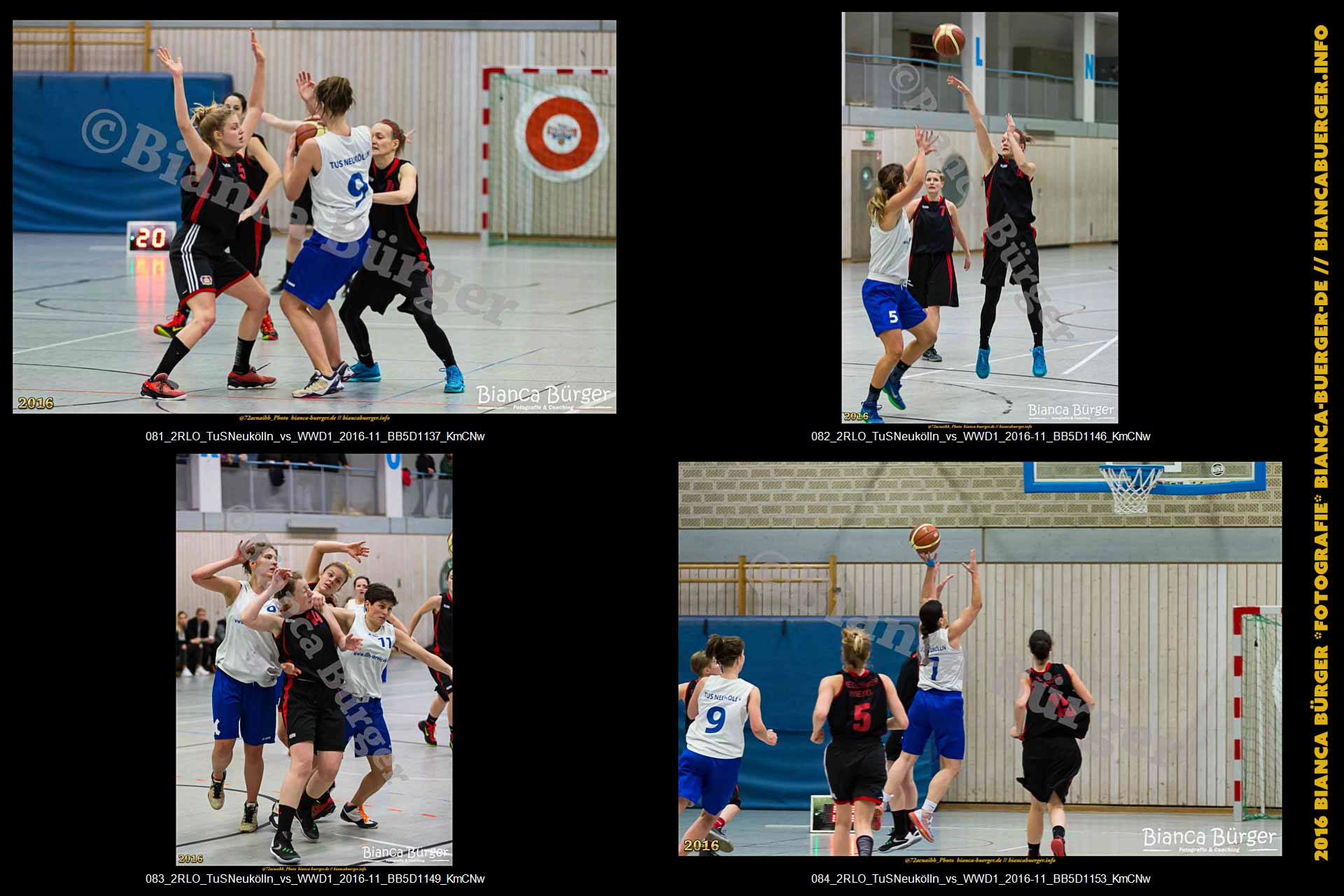 2.RLO TuS Neukölln vs 1. Damen Weddinger Wiesel (Basketball)